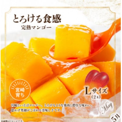 【発送月固定定期便】旬のフルーツ6か月定期便Vol.3(M348-T005)全6回