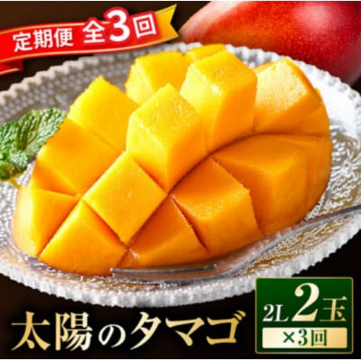 【発送月固定定期便】太陽のタマゴ定期便(M348-T010-3-1)全3回