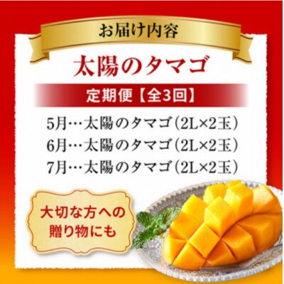 【発送月固定定期便】太陽のタマゴ定期便(M348-T010-3-1)全3回