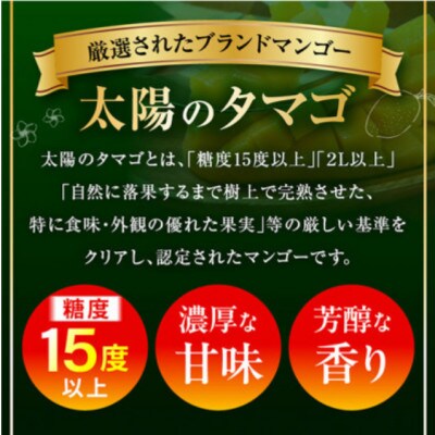 【発送月固定定期便】太陽のタマゴ定期便(M348-T010-3-1)全3回