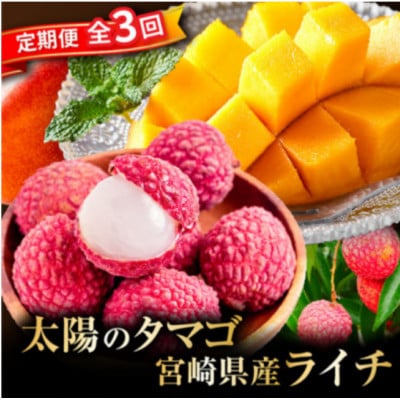 【発送月固定定期便】太陽のタマゴ・ライチ定期便(M348-T011-3-1)全3回