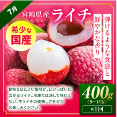 【発送月固定定期便】太陽のタマゴ・ライチ定期便(M348-T011-3-1)全3回