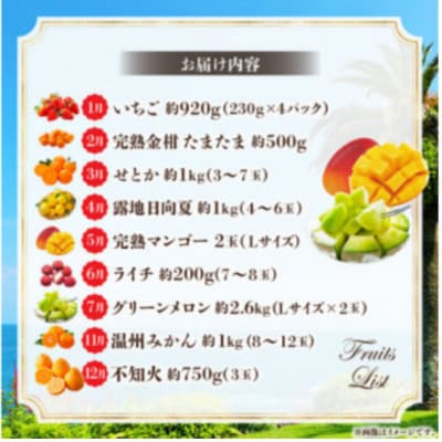 【発送月固定定期便】旬のフルーツ9ヵ月定期便Vol.1(M348-T008)全9回
