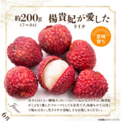 【発送月固定定期便】旬のフルーツ9ヵ月定期便Vol.1(M348-T008)全9回
