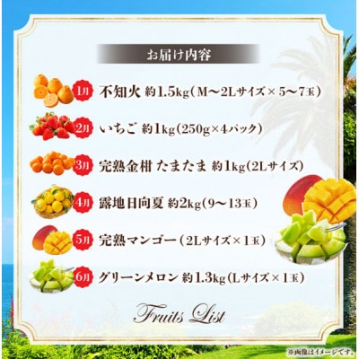 【発送月固定定期便】南国くだもの定期便全6回