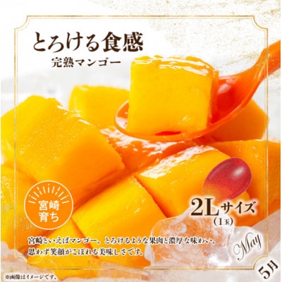 【発送月固定定期便】南国くだもの定期便全6回