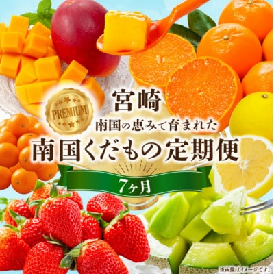 【発送月固定定期便】プレミアム南国くだもの定期便全7回
