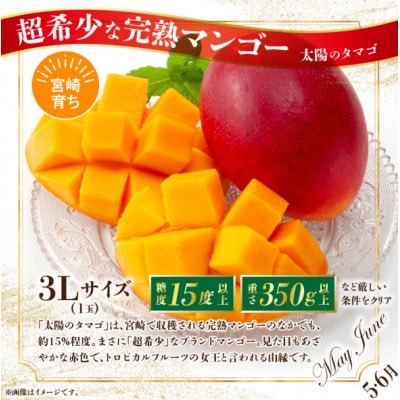 【発送月固定定期便】プレミアム南国くだもの定期便全7回