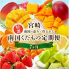 【発送月固定定期便】特選南国くだもの定期便全7回