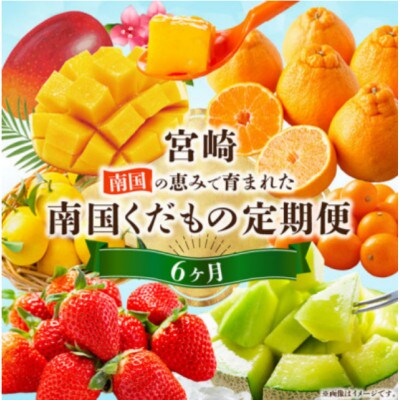 【発送月固定定期便】南国くだもの定期便【Y52】全6回