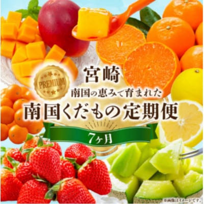 【発送月固定定期便】プレミアム南国くだもの定期便【Y51】全7回