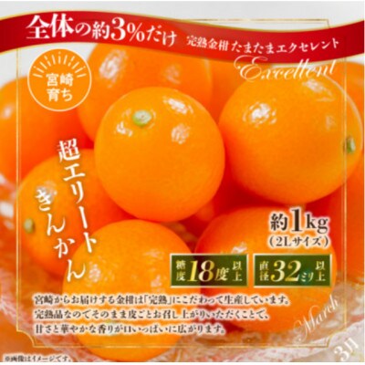 【発送月固定定期便】プレミアム南国くだもの定期便【Y51】全7回