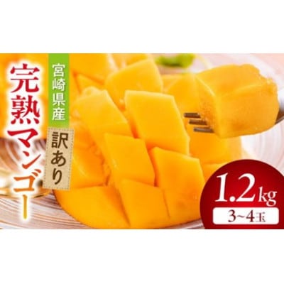 宮崎県産 訳あり完熟マンゴー 1.2kg(3～4玉) 先行予約