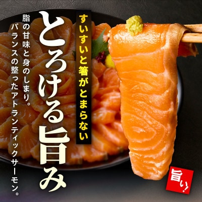 アトランティックサーモン500g(宮崎市)