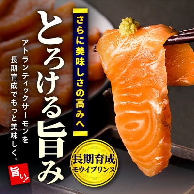 プリンスサーモン500g(宮崎市)