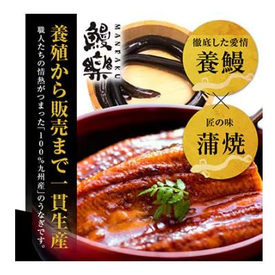 国産　うなぎ蒲焼4尾(計520g)