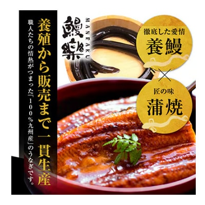 国産　うなぎ蒲焼4尾(計480g)