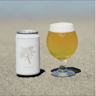 【Novoru Brewing】定番商品Novoru6本セット