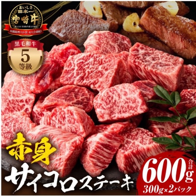内閣総理大臣賞4連覇 宮崎牛 5等級 黒毛和牛 牛肉 赤身 サイコロ ステーキ 600g