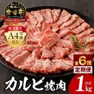 【発送月固定定期便】内閣総理大臣賞4連覇 宮崎牛 A4～A5 牛肉 カルビ焼肉1kg(宮崎市)全6回