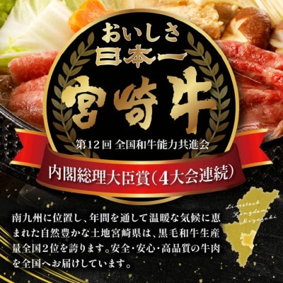 【3ヵ月毎定期便】宮崎牛バラエティー　カルビ焼肉・切り落とし・ミンチ・モモスライス(宮崎市)全4回