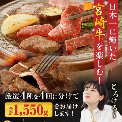 【3ヵ月毎定期便】宮崎牛づくしコースサーロイン カルビ焼肉 切り落とし ローススライス 宮崎市全4回