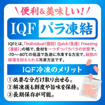 宮崎県産若鶏ももカット バラ凍結品 3.2kg
