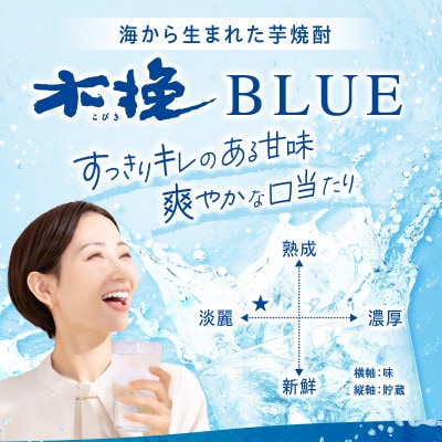 芋焼酎 木挽BLUE 20度 紙パック 1.8L(1800ml)×2本 雲海酒造