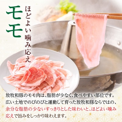 ≪放牧和豚≫　モモ しゃぶしゃぶ専用【薄霧スライス】300g