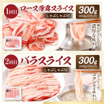 【毎月定期便】≪放牧和豚≫シンプル定期便　半年間毎月届く!(宮崎市)全6回