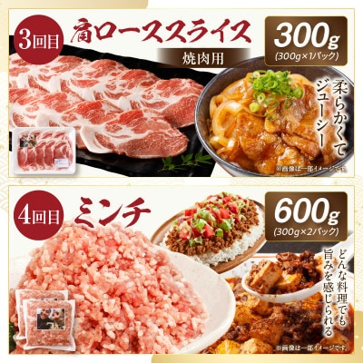 【毎月定期便】≪放牧和豚≫シンプル定期便　半年間毎月届く!(宮崎市)全6回