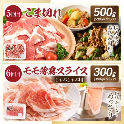 【毎月定期便】≪放牧和豚≫シンプル定期便　半年間毎月届く!(宮崎市)全6回