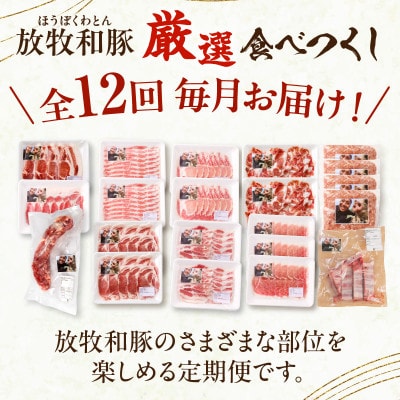 【毎月定期便】≪放牧和豚≫厳選食べつくし定期便　1年間毎月届く!(宮崎市)全12回