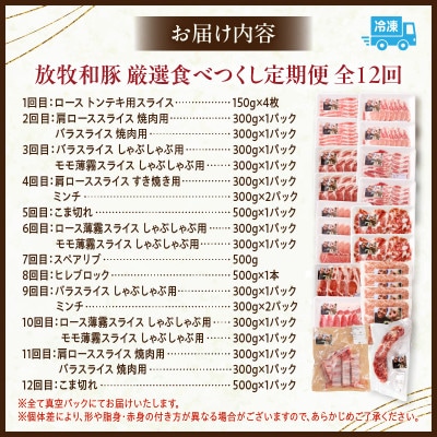 【毎月定期便】≪放牧和豚≫厳選食べつくし定期便　1年間毎月届く!(宮崎市)全12回