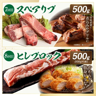 【毎月定期便】≪放牧和豚≫厳選食べつくし定期便　1年間毎月届く!(宮崎市)全12回