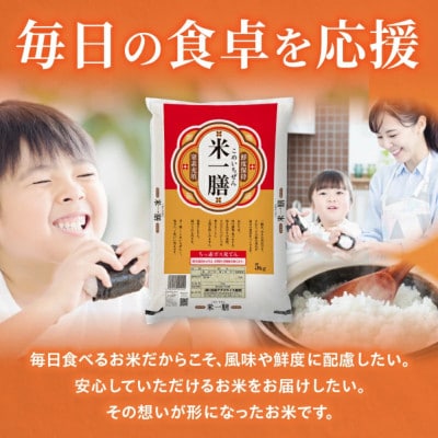 国産ブレンド米 「米一膳」5kg(5kg×1袋)