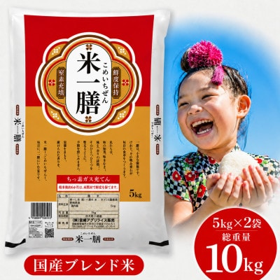 国産ブレンド米 「米一膳」10kg(5kg×2袋)