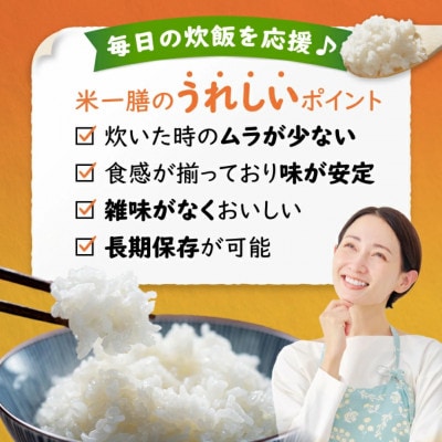 国産ブレンド米 「米一膳」15kg(5kg×3袋)