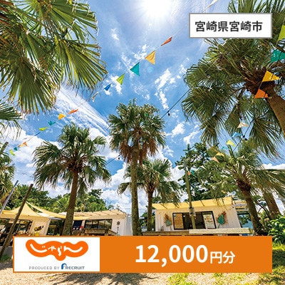 【じゃらんふるさと納税クーポン】 宮崎県宮崎市でつかえる12,000円 クーポン