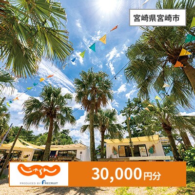 【じゃらんふるさと納税クーポン】 宮崎県宮崎市でつかえる30,000円 クーポン