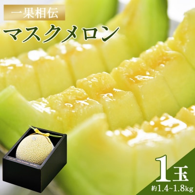 メロン 1玉入り 一果相伝マスクメロン 1玉 青肉 tn-0010