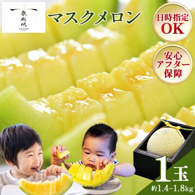 【日時指定可能】マスクメロン1玉入り〈青肉〉 tn-0010