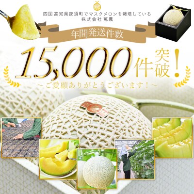 メロン 1玉入り 一果相伝マスクメロン 1玉 青肉 tn-0010
