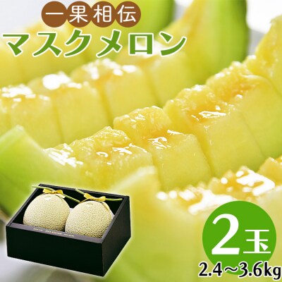 一果相伝マスクメロン2玉入り　E-41