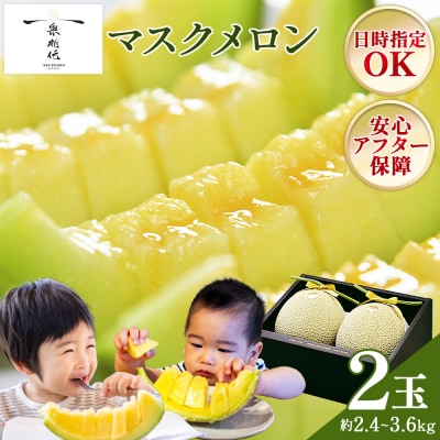 【日時指定可能】マスクメロン 2玉 青肉 tn-0012