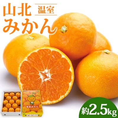山北温室みかん2.5kg C-125 