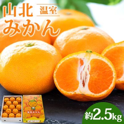 山北温室みかん 2.5kg 人気 ku-0030