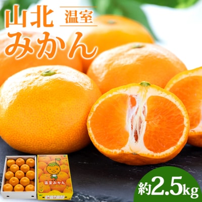 山北温室みかん 2.5kg 人気 ku-0030
