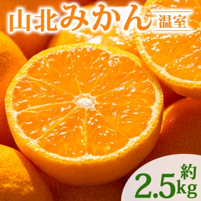 【2026年発送分】山北温室みかん 2.5kg 人気 ku-0051