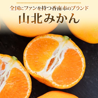 みかん 温室 人気 2.5kg ハウスみかん 山北みかん 高級 高知  ku-0065